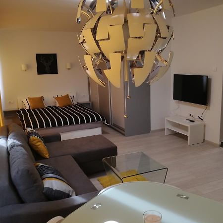 Apartment Oasis Banovo Brdo-Ada Ciganlija Belgrade Extérieur photo